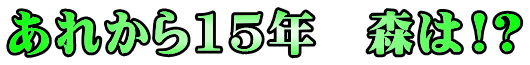 あれから15年　森は!?